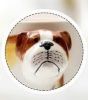 3D Hand-painted Bulldog Ceramic Mug With Cover Scoop Couple Water Cup Coffee Mug